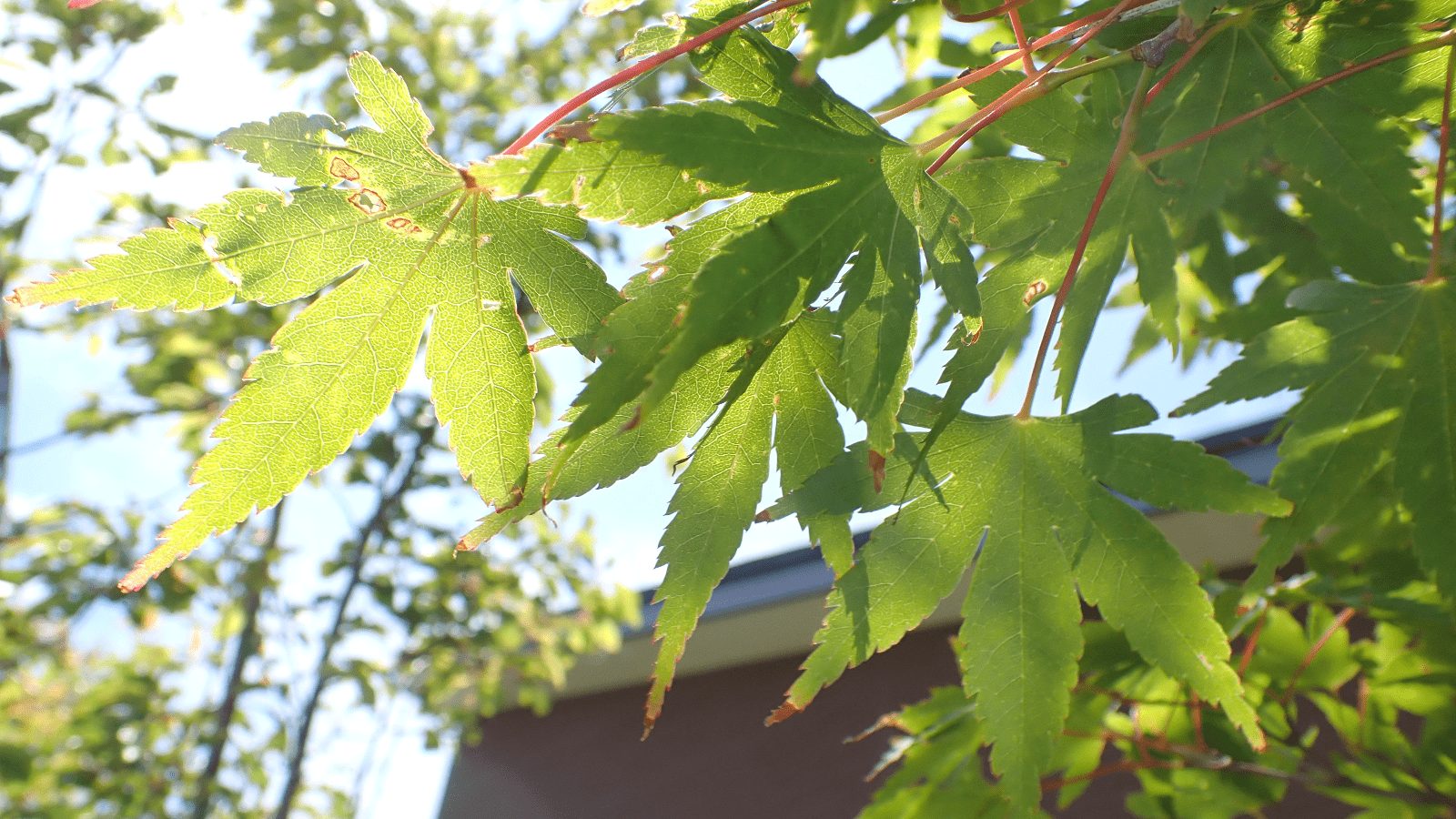 Yuan♥️ページ 2023年版 介護サービス事業者ガイドブック ハートページ 配布が開始